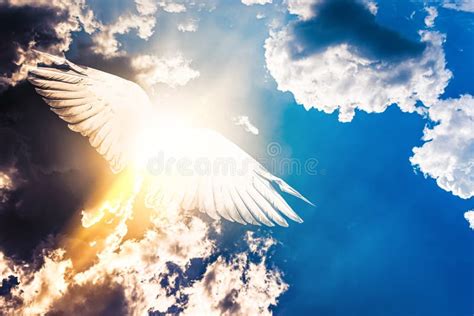 Angel Bird In Heaven Stock Image Image Of Beam Dove 163349577