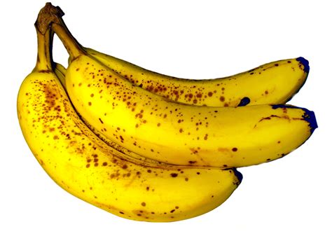 Filebanana Fruit Wikimedia Commons