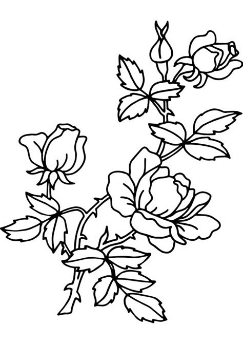 Desenhos De Rosas Para Imprimir E Colorirpintar Pdmrea