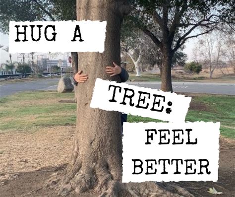 Why It May Benefit You To Consider Tree Hugging Now Creative Life Midwife
