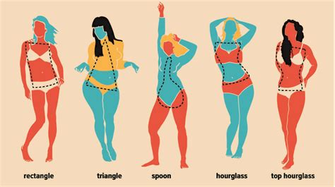 Students match the words to the correct pictures and complete the crossword. Women's Body Shapes: 10 Types, Measurements, Changes, More
