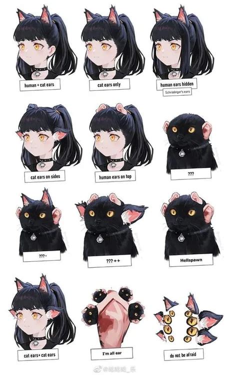 Types Of Catgirls Extended Version Cat Girl Know Your Meme