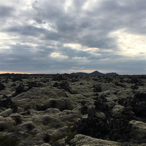 A Landscape Full Of Lava Rocks Outside The Keflavik Airport In Iceland