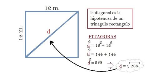 cuanto mide la diagonal de un cuadrado de 12 metros de lados - Brainly.lat