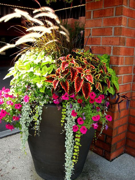 How to plant a container garden: Front Porch Flower Planter Ideas 16 (Front Porch Flower ...