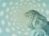 Buddha In Lotus Flower Images