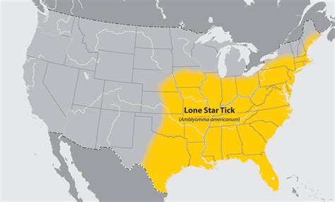 Lone Star Tick Map Locations And Other Key Facts Medpro Medical