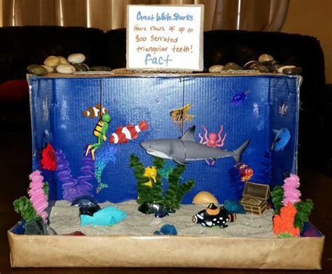 Pin By Mary Maccormick On Shark Habitat Project Diorama Kids Kids