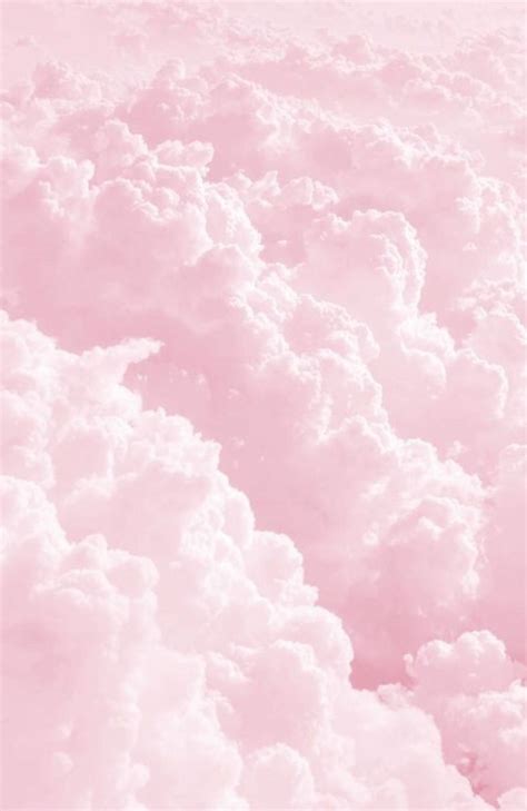 Aesthetic Soft Pink Light Pink Background Cuteanimals
