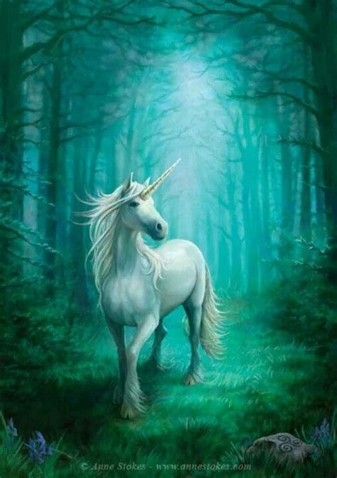 Mystical Unicorn And Fairies Unicorns And Mermaids Magical Unicorn