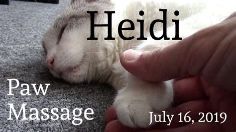 Heidi — Paw Massage July 16 2019 Youtube