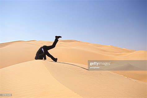 Bury Your Head In The Sand High Res Stock Photo Getty Images