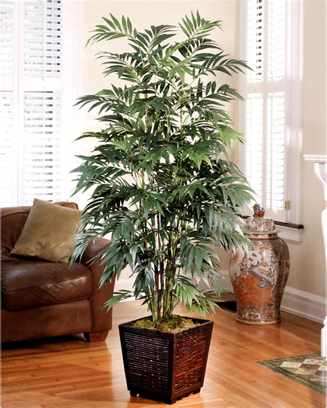 Or, questions about how to incorporate palm tree home accessories into your home's decor? Decorate with a Customer Favorite - 6' Silk Bamboo Palm ...