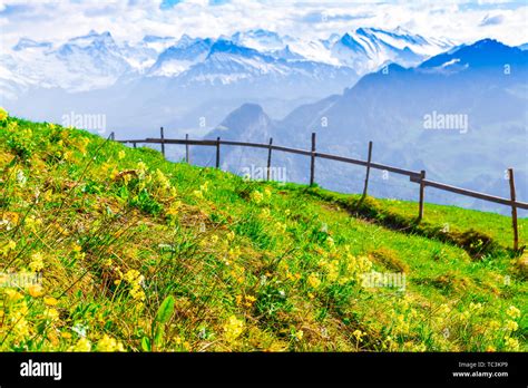 Landscape Of Beautiful Meadow And Moutains In Swiss Alps Stock Photo