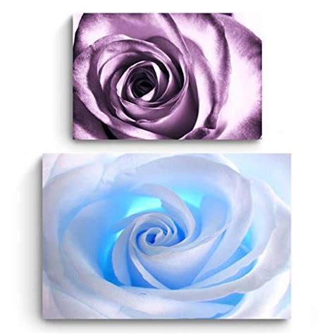 Startonight Canvas Wall Art Flowers White Rose And Purple Rose