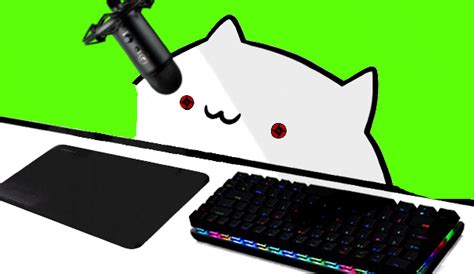 Bongo Cat Mousebg Ícones Personalizados Orelhas De Gato Personagens