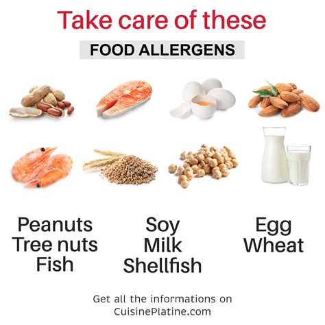 The Big 8 Food Allergies What You Need To Know For Safe Cooking