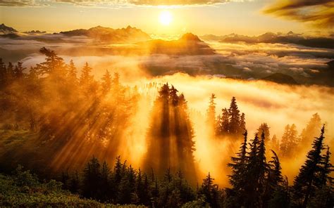 壁纸 阳光 景观 山 日落 性质 反射 日出 晚间 早上 薄雾 大气层 黄昏 云 秋季 黎明 大气现象