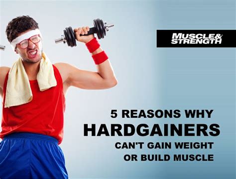 5 Reasons Why Hardgainers Cant Gain Weight Or Build Muscle Effective
