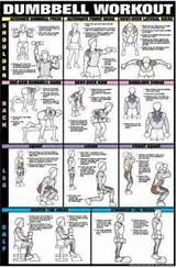 Pictures of Dumbbell Back Exercises