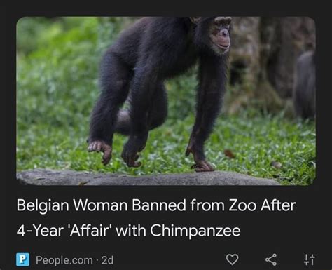 Belgian Woman Banned From Zoo After 4 Year Affair With Chimpanzee