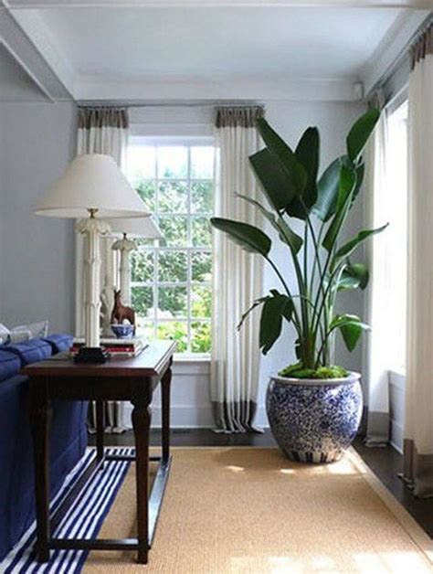 Amazing House Plants Indoor Decor Ideas Must 48 Living Room Plants