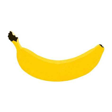 Premium Vector Fresh Bananas Tropical Vector Illustration