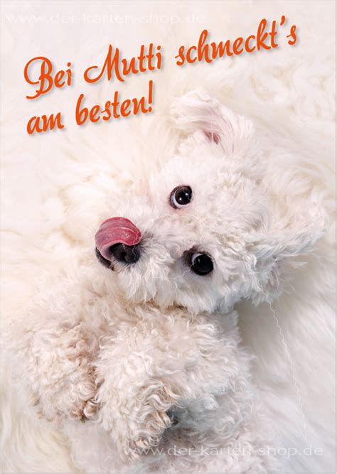 Postkarte Grußkarte Süßer Hund Leckt Sich Die Lippen Bei Mutti