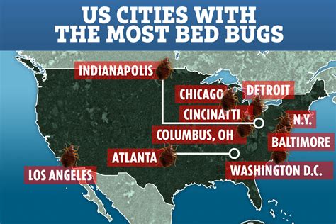 Washington Dc The ‘bed Bug Capital Of The Us But Where Does Your City