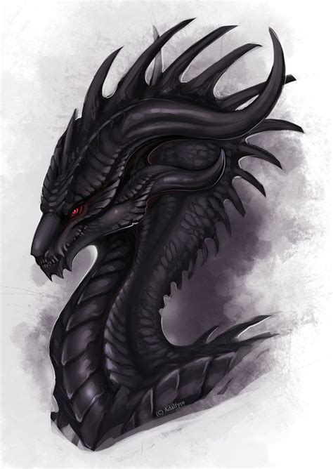 Obsidian Wyvern Dragon Artwork Wyvern Fantasy Dragon