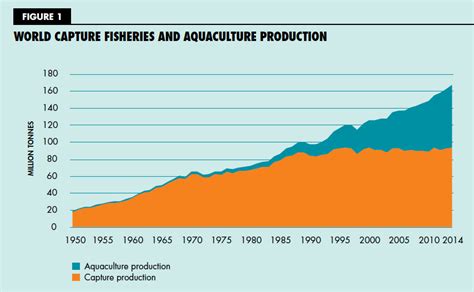 The State Of The World Fisheries And Aquaculture Francisco Blaha