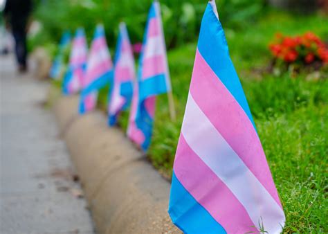 Transgender Trans Pride Flags 2048x1462 National Alliance To End
