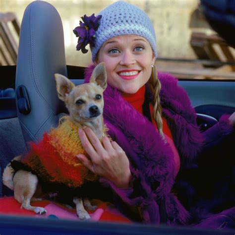 The Best 7 Outfits Elle Woods Wears In Legally Blonde Legally Blonde Elle Woods Legally