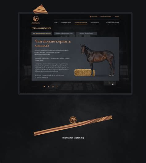 Equestrian Club Shop On Behance