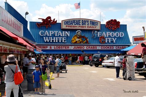 Fisherman's Wharf, DC | Jumbo crab, Seafood, Fresh clams