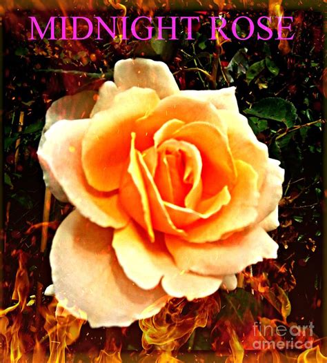 Midnight Rose Digital Art By Meiers Daniel Fine Art America