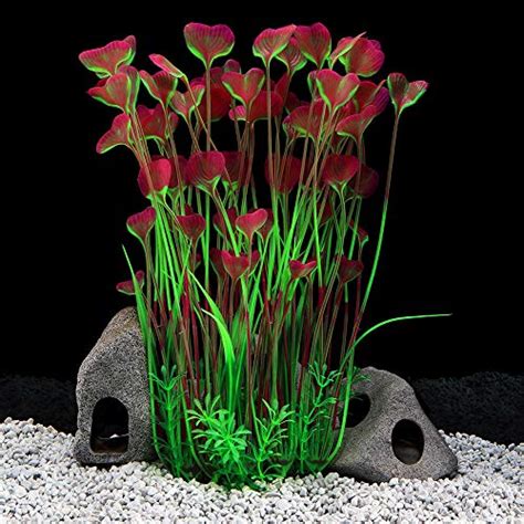 Best Aquarium Plants Buying Guide And Review