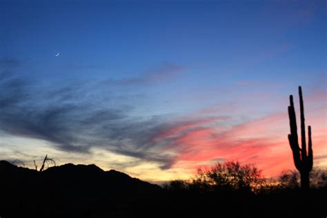 Free Images Landscape Horizon Silhouette Cactus Cloud Sun