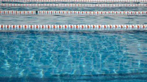 21049 Competition Swimming Pool Stock Photos Free And Royalty Free