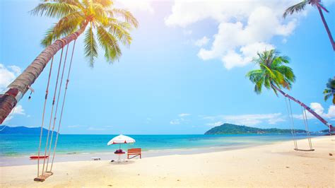 壁纸 夏天，热带，棕榈树，沙滩，大海 3840x2160 Uhd 4k 高清壁纸 图片 照片