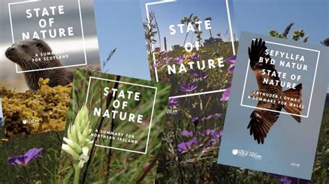 Reflections On The State Of Nature Report 2019 British Ecological Society
