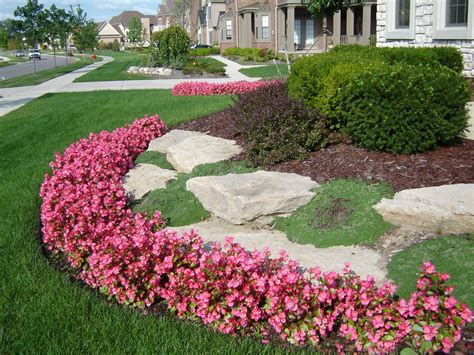 Begonias Creeping Thyme And Limestone Garden Inspiration Home