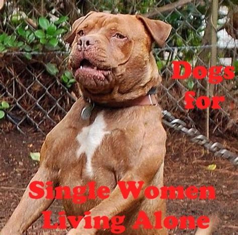 How to be safe as a single woman living alone. 5 Best Dog Breeds for Single Women Living Alone ...