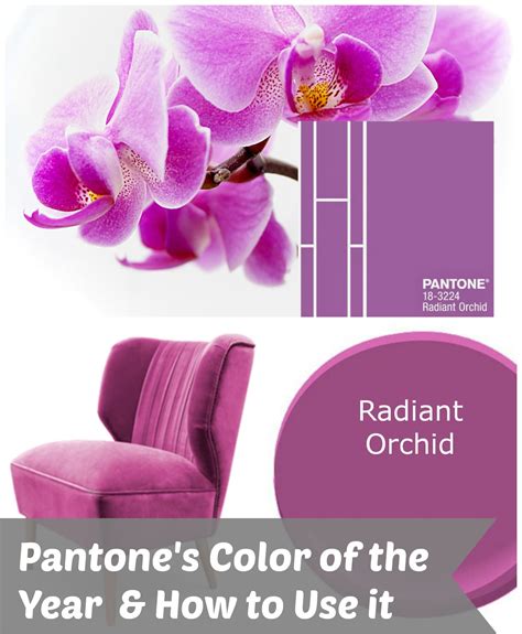 Learn How To Use Pantones Color Of The Year Radiant Orchid In Your