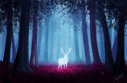 Deer Forest Glow Background Animals Wallpapers 1080p