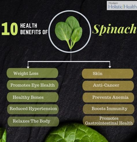 10 Health Benefits Of Spinach Modern Holistic Health