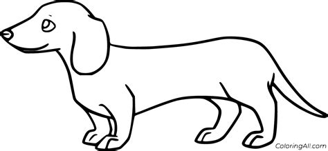 Dachshund Coloring Pages ColoringAll