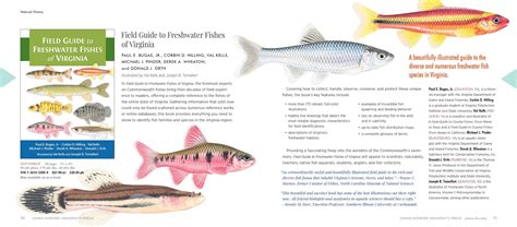 Field Guide To Freshwater Fishes Of Virginia Buy
