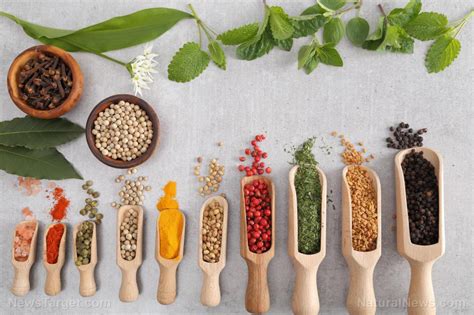 Stock Up On These 12 Healing Herbs And Spices That Boost Flavor And