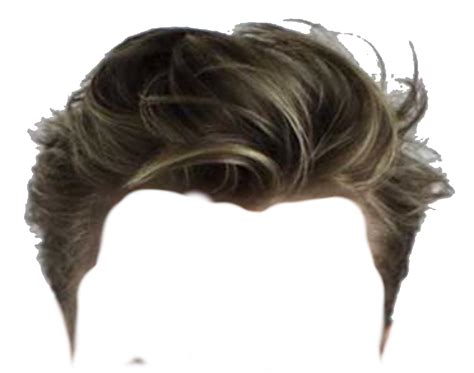 Wig Png Transparent Hd Photo Png All Png All